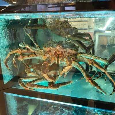 皇庭匯 (海富苑)