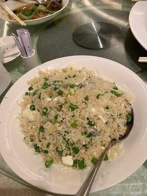 會所1號 博藝會