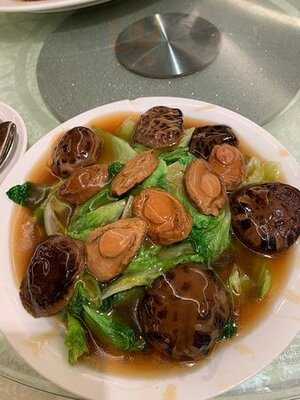 會所1號 博藝會