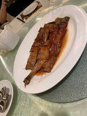 會所1號 博藝會