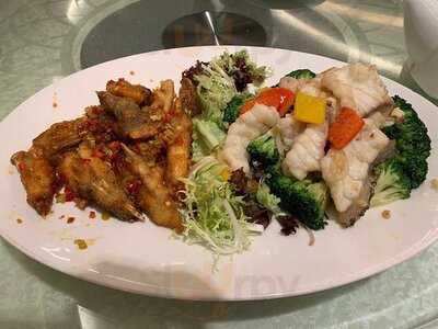 會所1號 博藝會