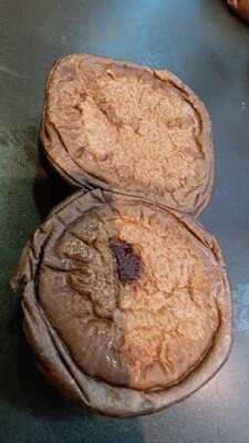 麵包秀 (德興大廈)