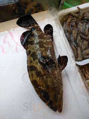 塔門新漢記海鮮酒家