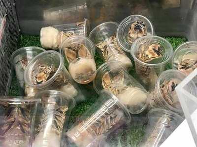 盛八日式火鍋放題店