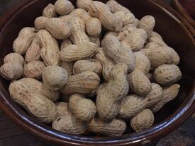 Alien Fusion Restaurant