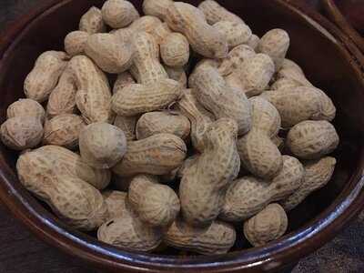 Alien Fusion Restaurant