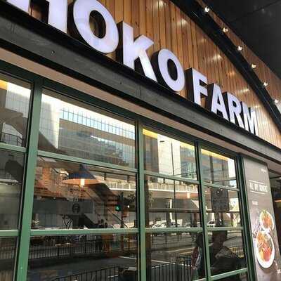 Hoko Farm