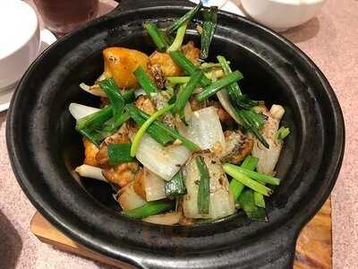 太興 (鱷魚恤中心)