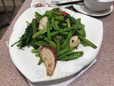 太興 (鱷魚恤中心)