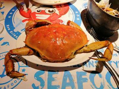 Mr. Crab By The Captain's House