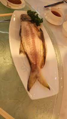 百樂潮州鮑魚飯店