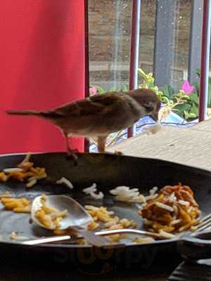 Ebeneezer's Kebabs & Pizzeria