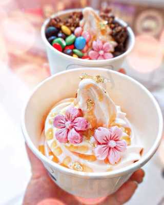 Yo Ma Ma Frozen Yoghurt