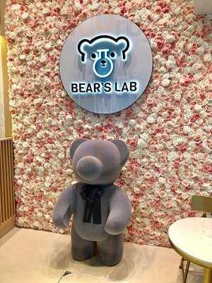 Bear's Lab