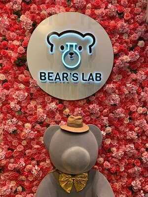 Bear's Lab