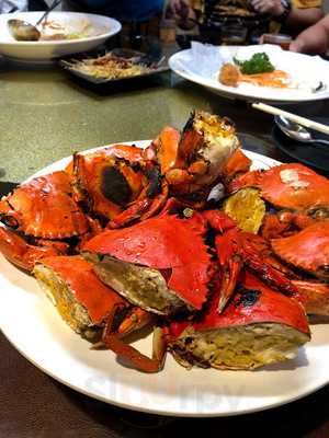 鵝大哥鵝煲專家