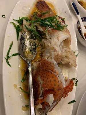 名苑酒家 (尖沙咀)