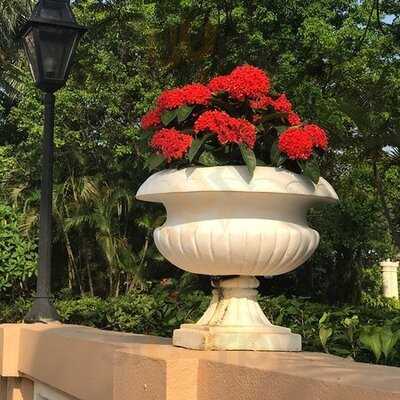 麥當勞 (黃金海岸商場)