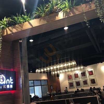 紅螞蟻 (九龍灣)