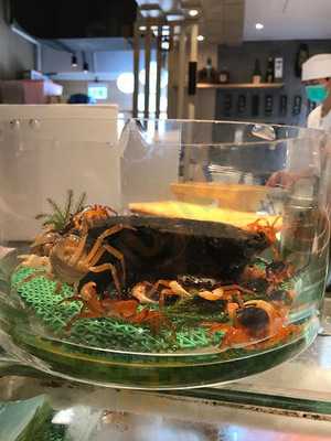 德美寿司 (新都城)