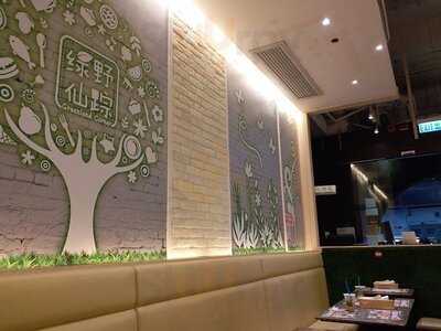 綠野仙蹤 (北角)