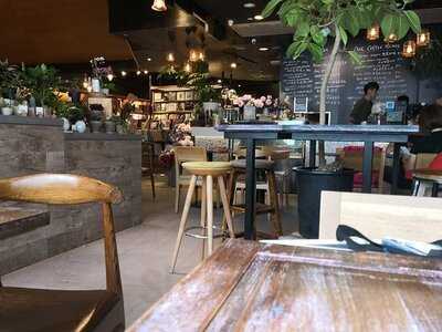 花粉熱 (希慎廣場)