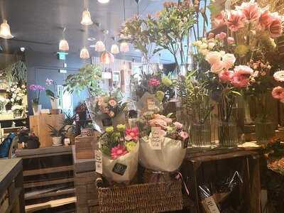 花粉熱 (希慎廣場)