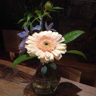 花粉熱 (希慎廣場)