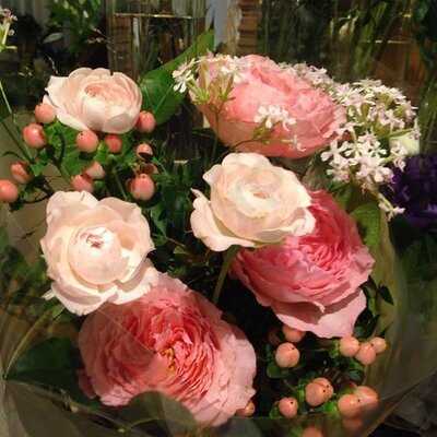 花粉熱 (希慎廣場)