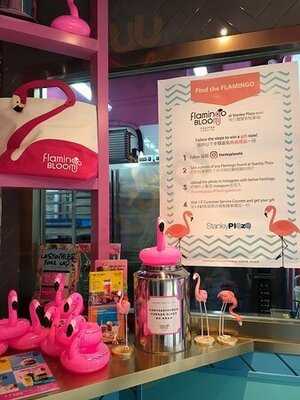 Flamingo Bloom - Stanley Plaza