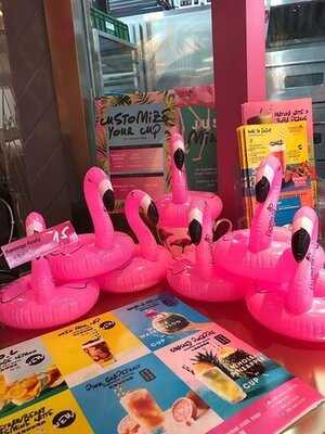 Flamingo Bloom - Stanley Plaza