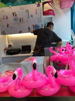 Flamingo Bloom - Stanley Plaza