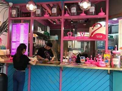 Flamingo Bloom - Stanley Plaza