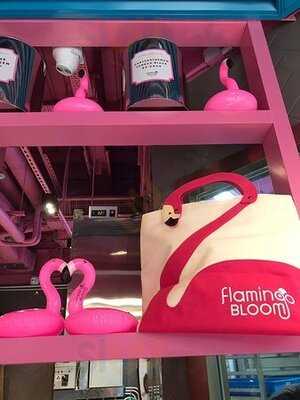 Flamingo Bloom - Stanley Plaza