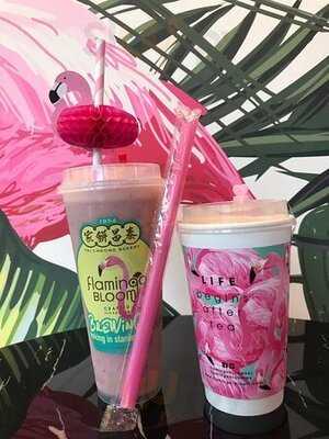 Flamingo Bloom - Stanley Plaza