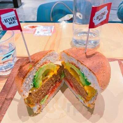 Green Common The Forest