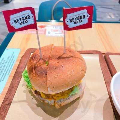 Green Common The Forest