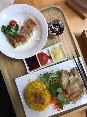 Green Common The Forest