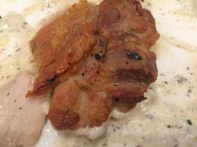 Jingle's oyster + grill