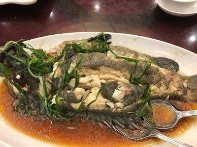 嘉年華海鮮酒家