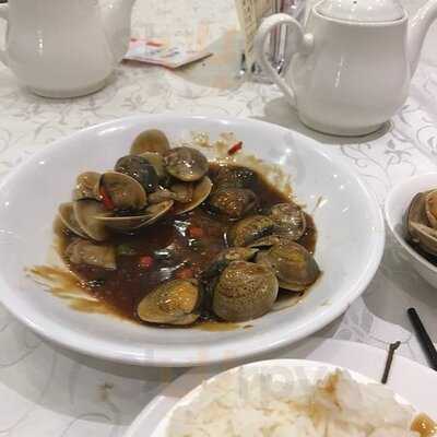 潮福蒸汽海鮮火鍋料理