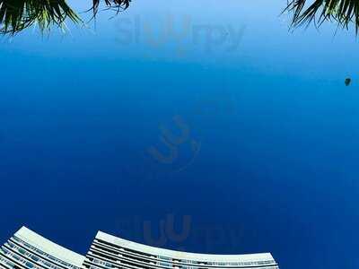 池畔酒吧(沙田凱悅酒店)