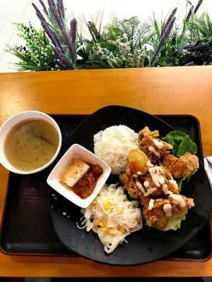 Bingo & Cook (e-max)