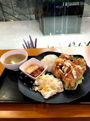 Bingo & Cook (e-max)