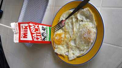 農場鮮奶有限公司