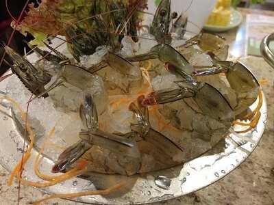 小肥牛火鍋活魚專門店 (天星大廈)