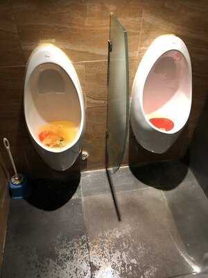 翠華餐廳 (碧街)