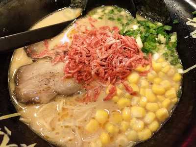 博多拉麵-火之鳥