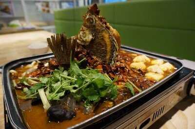 有機農場餐廳市場