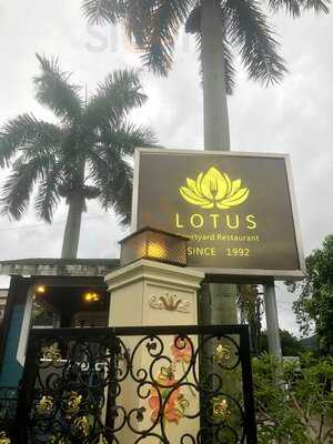 荷華庭園景餐廳